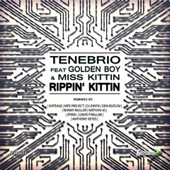 Tenebrio Feat. Golden Boy With Miss Kittin - Rippin' Kittin (Isatease & Tenebrio Remix) UNMASTERED