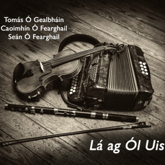 The Fly in the Porter / Paddy Fahy’s / Old John’s Jig