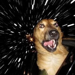 ARRRRRRHHHHHHHHHH