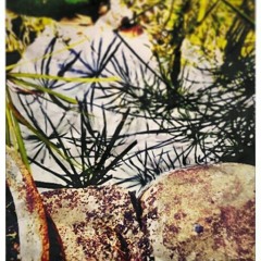 The Power Of Love - Celine Dion