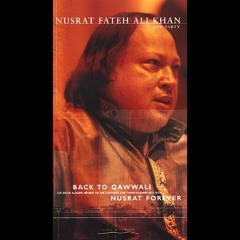 Fasle Gull hai remix