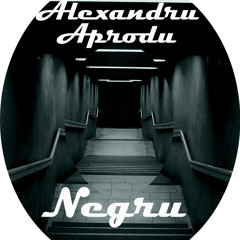 Alexandru Aprodu - Negru