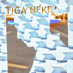 Tiga Nekra - Fun Wreck Nowhere