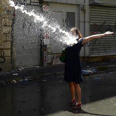 Hayvanlar Alemi - Direnç