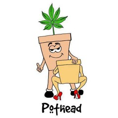 PotHead Till I Drop Dead