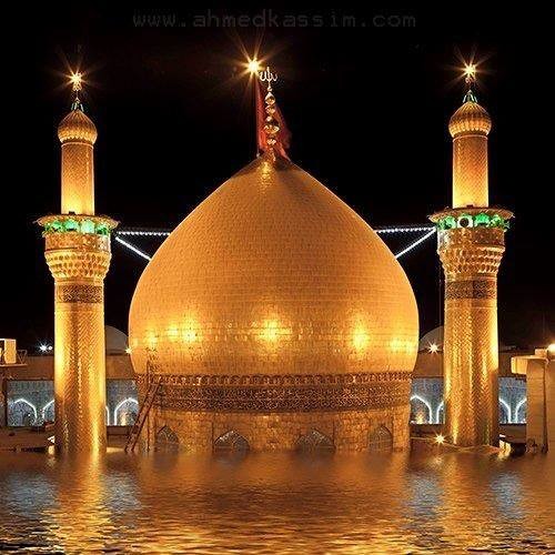 محبت در رگ و در پوست داریم ، حسین بن علی را دوست داریم - ذاکر