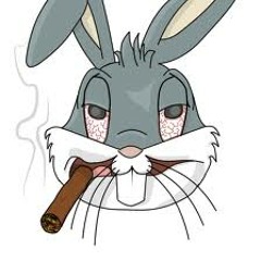 Malokalest - Quatro por um