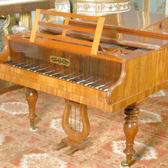 Schubert Sonata in A major opus 120 2nd movement