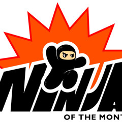 Flying Ninjas in Outerspace ~ DJ Hellaa Kitty