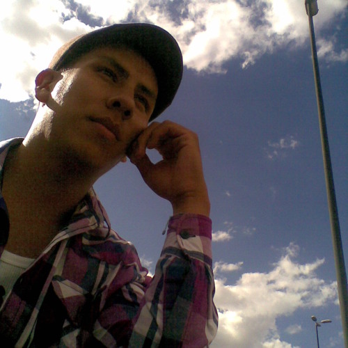 Secion progresive 8 de junio 2013