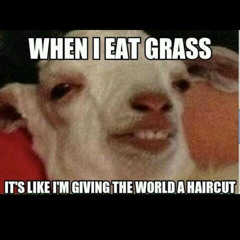 Make Acacia Strain Suffer