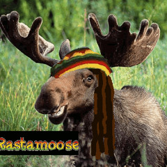 Give thanks to the most high!