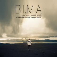 SpareElbowSkin - Lonely In Minnesota Tonight (From the BIMA mashup compilation)