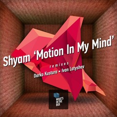 Shyam - Motion In My Mind (Darko Kustura Remix)