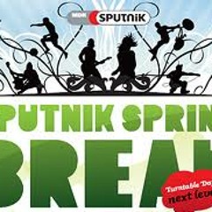 Vitalic - Live Sputnik Spring Break 2013  (05 19 2013)
