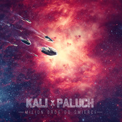 Kali & Paluch - Syntetyczna Ganja Mafia