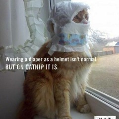 Jungle,Liquid DnB, BreakCore and Funky Musics Mix - Dj Afro Ninja