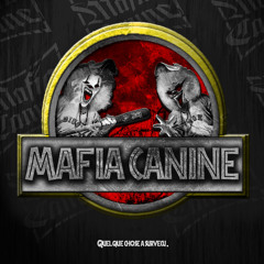 DOGG MASTER - Fonky player (Dogg Master 2012)