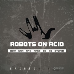Robots On Acid - How Can Any Race Be So Stupid? (DVS NME remix)