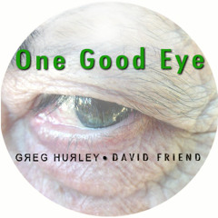 One Good Eye - Greg Hurley and Dave Friend