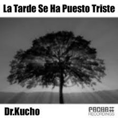 La Tarde Se Ha  Puesto Triste. -  Dr.Kucho .(Saul Aguilar Remix) Edit.