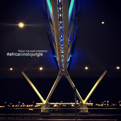 Africa Is Not a Jungle