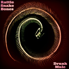 DRUNK MULE - Rattle Snake Bones