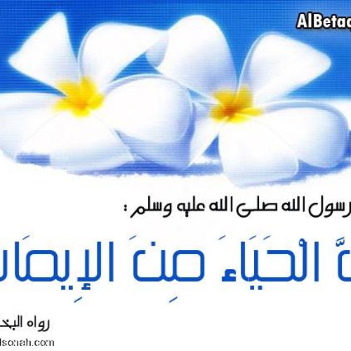 حياء فاطمة - عبد المحسن الأحمد