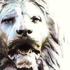 Avery Fantom - Animal Soul