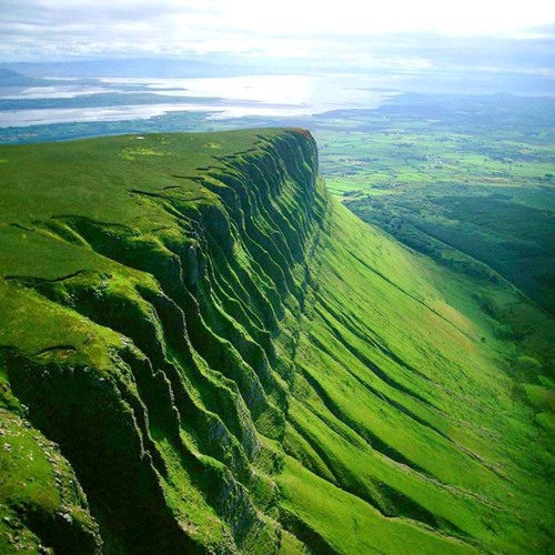 DragonflyO.SURE AND STEADFAST