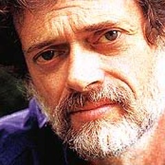 Terrence McKenna | Culture is an Operating System