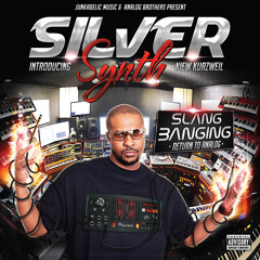 Silver Synth - Slang Banging ( Return To Analog ) ( Album Sampler )