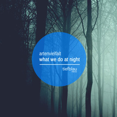 Artenvielfalt - What we do at Night (Original Mix) SNIPPET