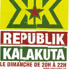 Festival Weekend au bord de l'eau 2013 - Republik Kalakuta - Couleur 3