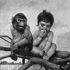 The son and the monkey