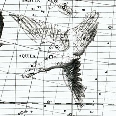 Philip Cashian Aquila