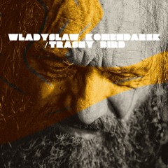 Wladyslaw Komendarek - Smietnikowy Ptak (Futurospekcja remix) [free download]