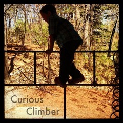 Curious Climber