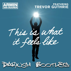 Armin Van Burren ft. Trevor Guthrie - This Is What It Feels Like (Dariush Bootleg)