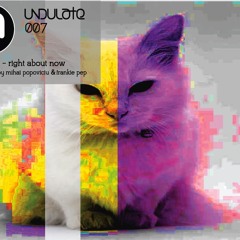 Undulate Recordings 007 Feline 9 - Right About Now (Mihai Popoviciu Remix)