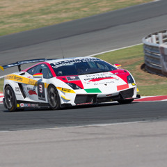 narwhales narwhales narwhales ...