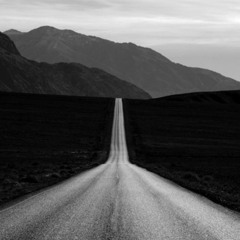 The Long Journey Home By Adi Goldstein