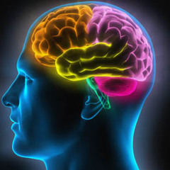 Brain movements
