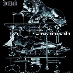 Savannah  - Solo