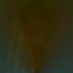 How To Avoid Art - Sponge