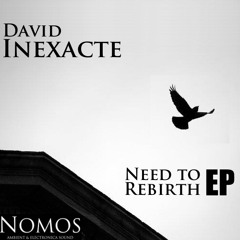David Inexacte - Europe in rewind (original mix) / clip