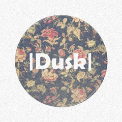 Neurofunk Minimix 2  |Dusk|