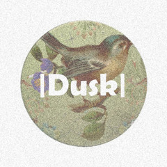 Neurofunk Minimix   |Dusk|