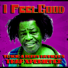 James Brown - I Feel Good (Tomcio & Ronny Hammond's Trap Xperience) (FREE DL)