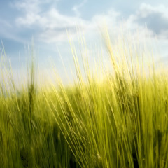 Vibin' (prod by JHAS)